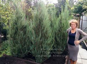 Ирина Удовиченко. Питомник растений Природа Priroda